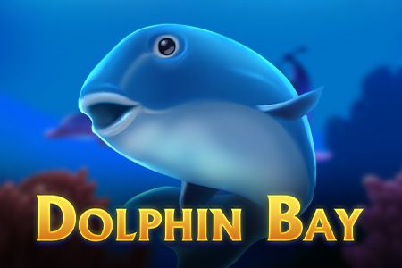 Dolphin Bay